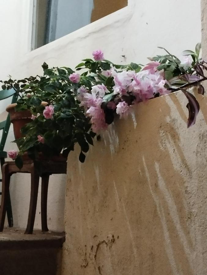 Um Quarto Da Casa Do Monte Vila Franca do Campo Εξωτερικό φωτογραφία